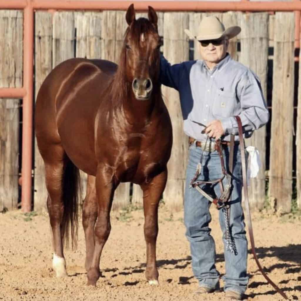 Bill Riddle Bioag Cutting Clinics - Bill Riddle Cutting Horses