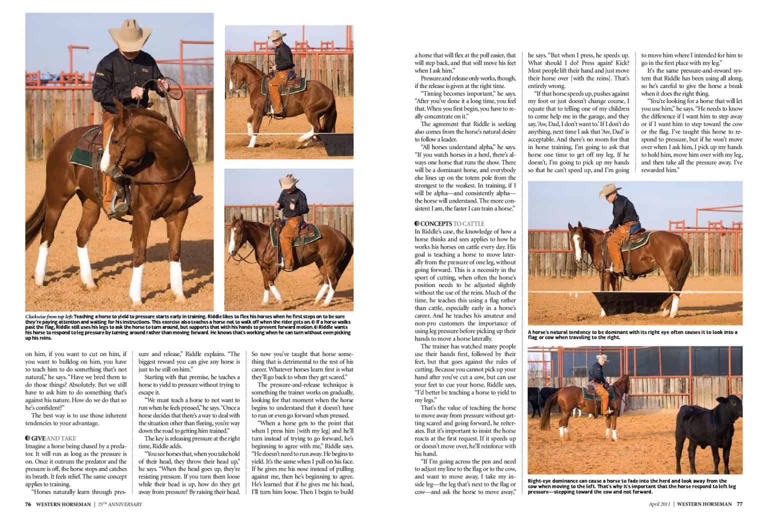 Bill Riddle Cutting Horses